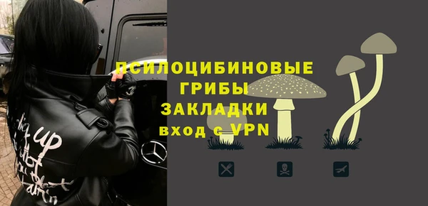 a pvp Рославль