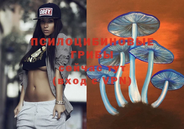 a pvp Рославль