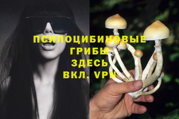 таблы Россошь