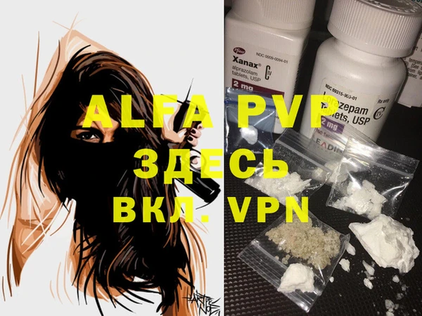 PSILOCYBIN Заводоуковск
