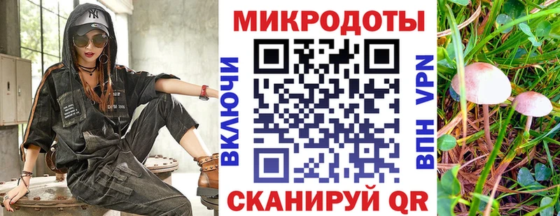 как найти закладки  Свирск  площадка какой сайт  Псилоцибиновые грибы прущие грибы 